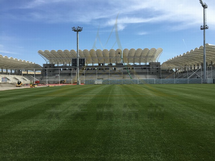 體育看臺膜結構