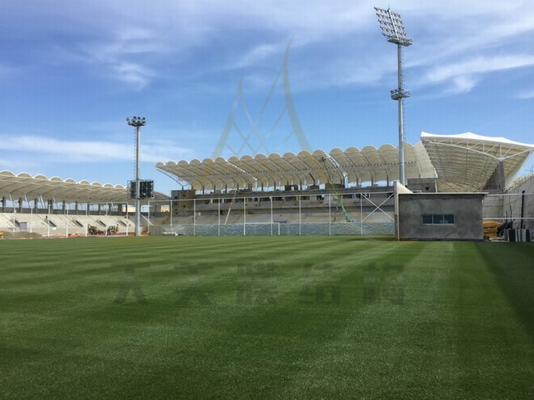 體育看臺膜結構